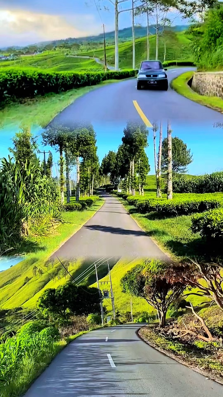 3 videos 1 diseño HD