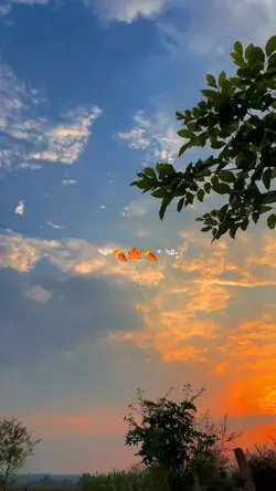 skyline sunset