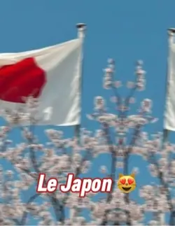 Le Japon😻