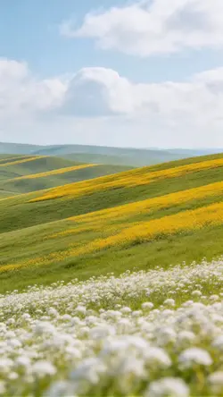 CINEMATIC ISLAMIC 