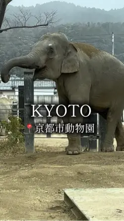 動物園🐘
