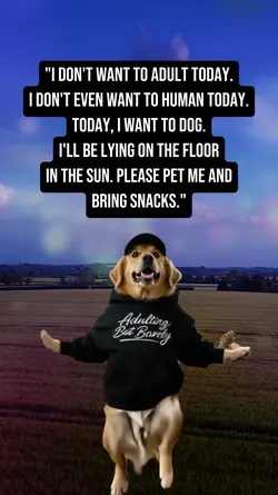 No Adulting Today