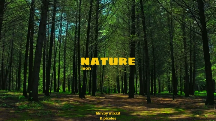 Cinematic Nature