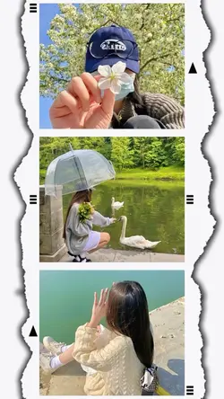 16PicFrame Aesthetic