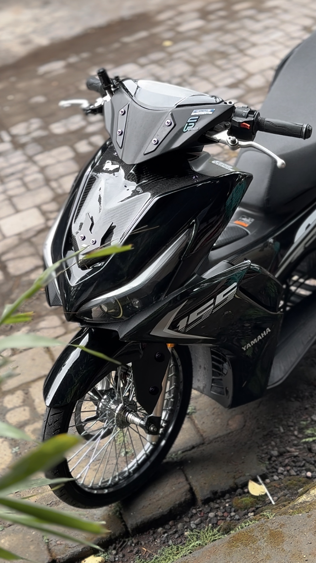 Cover Picture