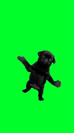 Rakutendril nugget