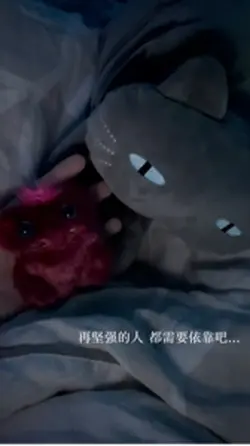 再坚强的人 都需要依靠吧...