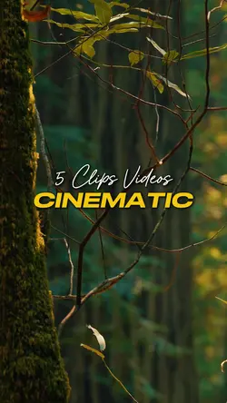 Cinematic 5 Videos