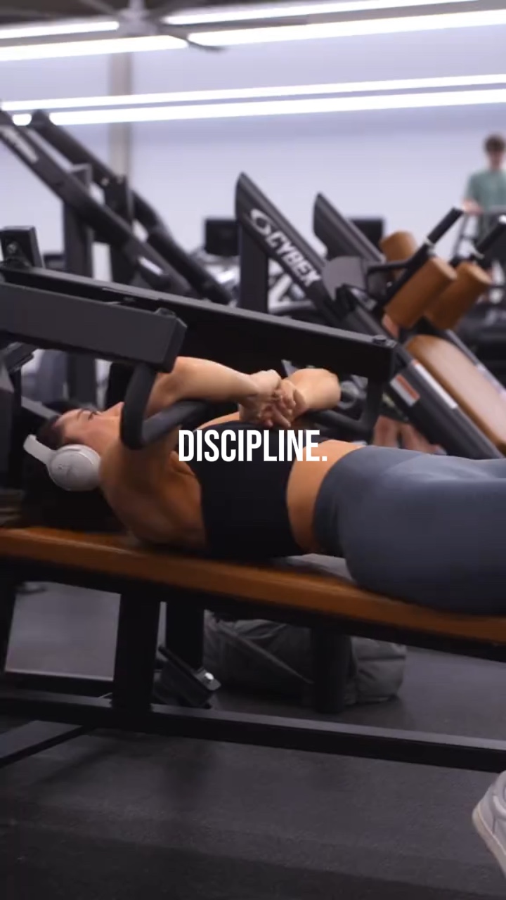 Discipline 