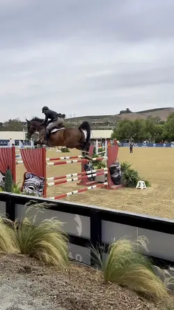 Throw that 🍑 in a ⭕️‼️