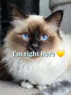 I'm right here