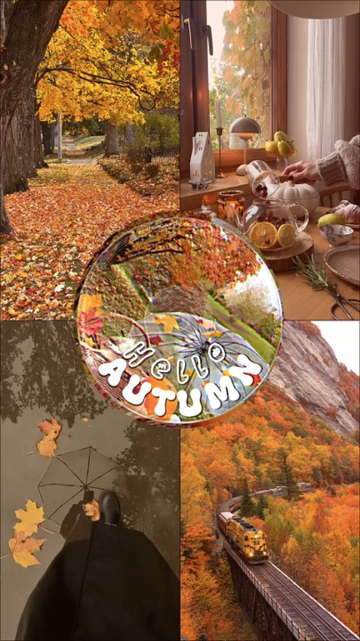 Hello Autumn 🍂