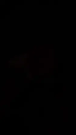 Yeni şablon