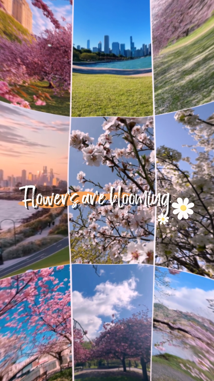 Las flores están floreciendo