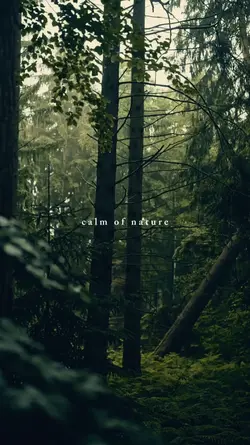 calm of nature