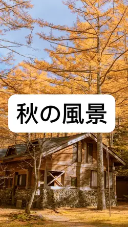 秋気配 アルバム