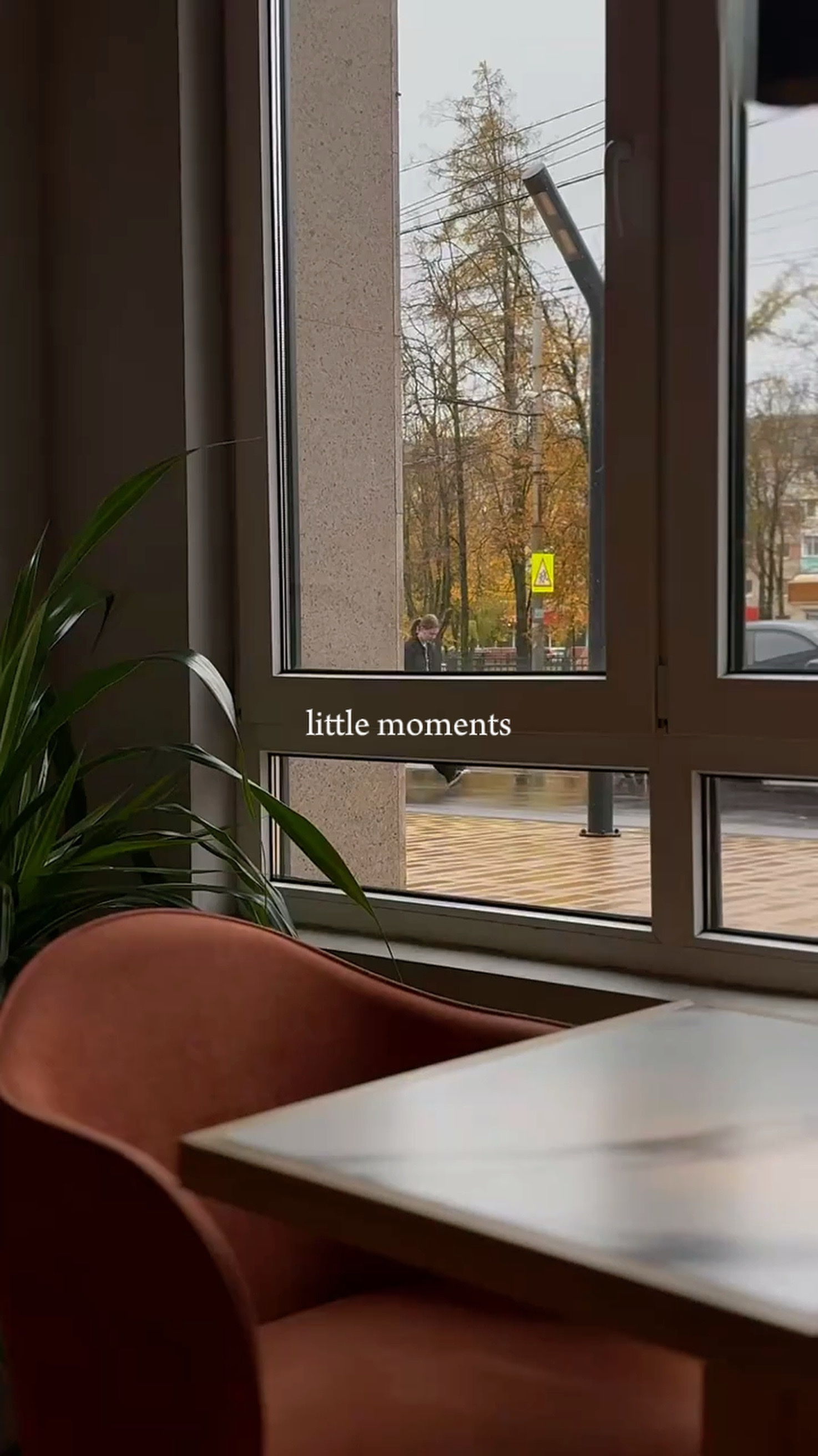 little moments🍀