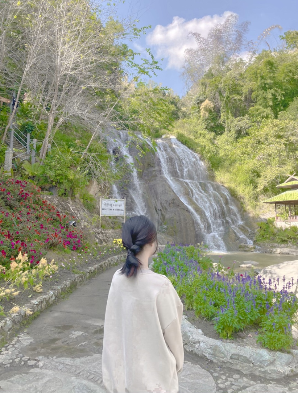 အတိတ်မေ့ရောဂါ