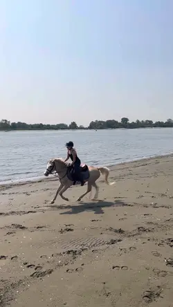 💙
