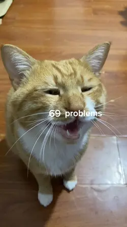 100 problems 