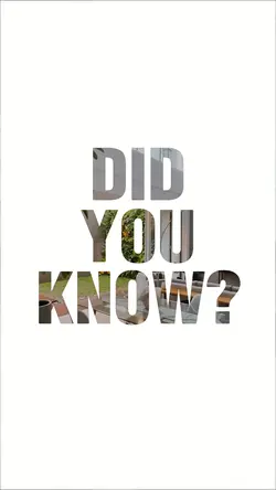 DID YOU KNOW?
