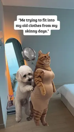 trying to fit