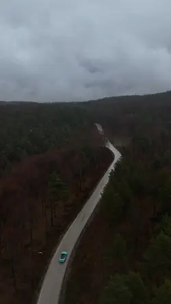Forest Karma