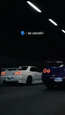 dancing racoon 