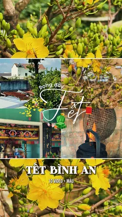 Têt Bình An ❣️