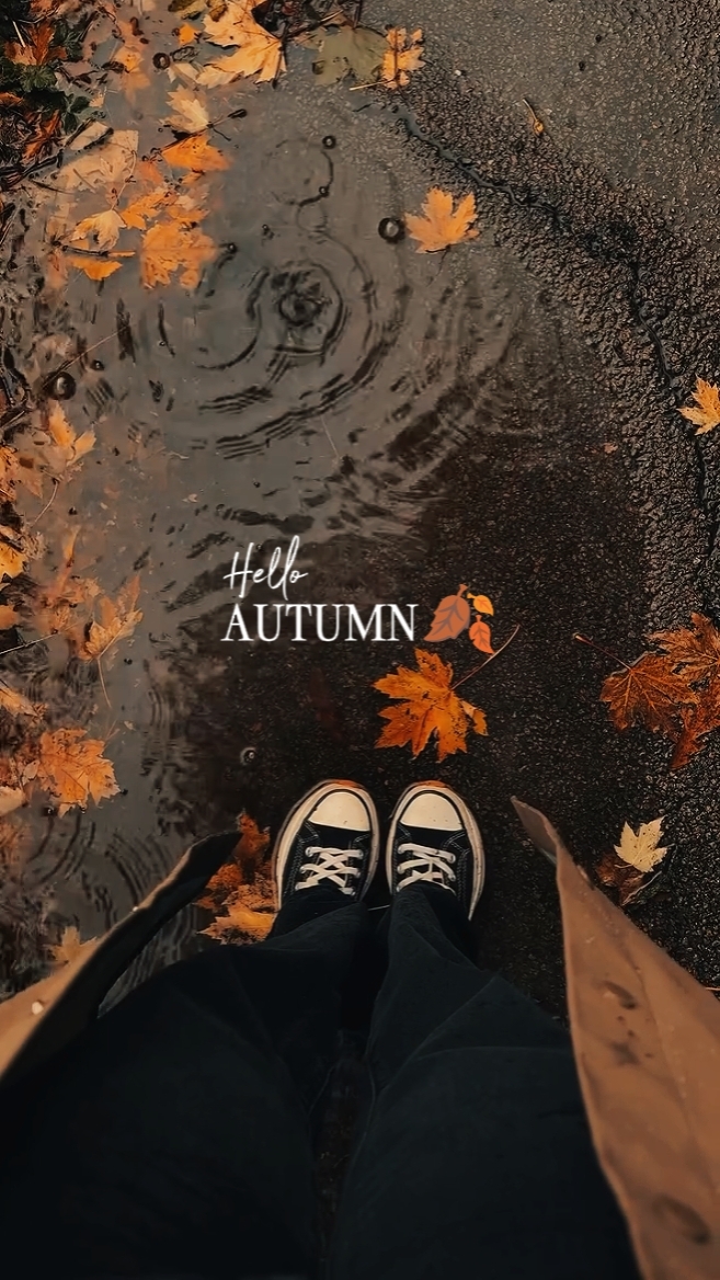 autumn vibes