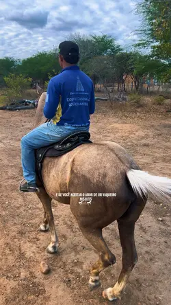 Amor de um vaqueiro