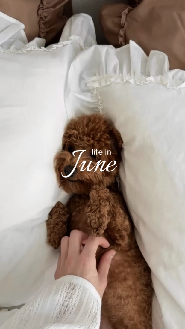 life in june 2025