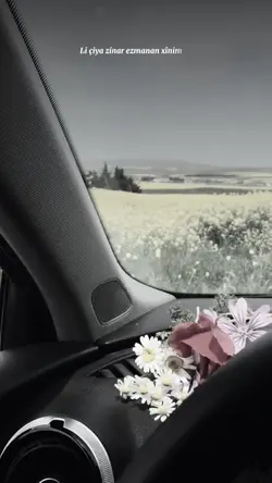 Li çiya zınar