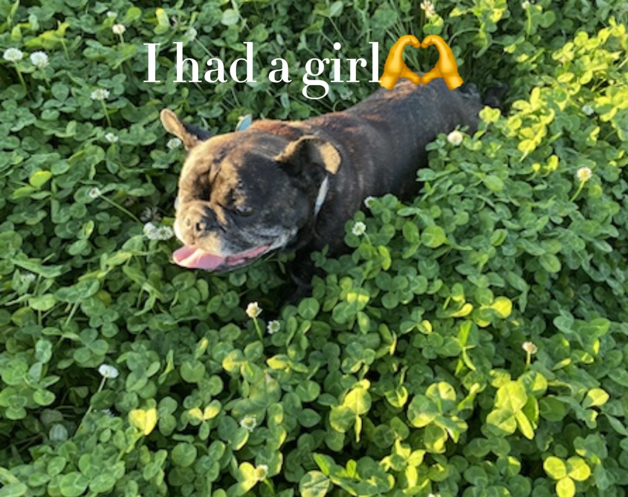 She got put down😭