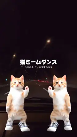 猫ダンス