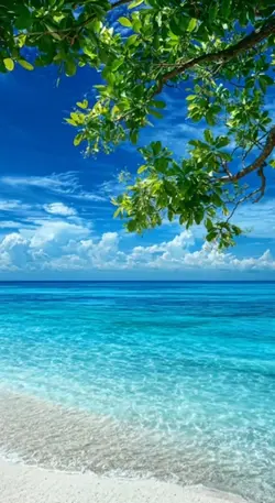 Live wallpaper