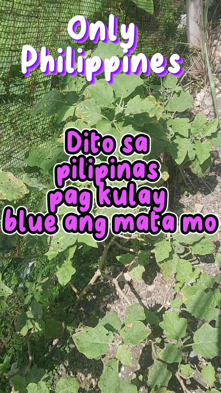 Seulement Philippines 