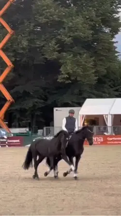 Slowmooo