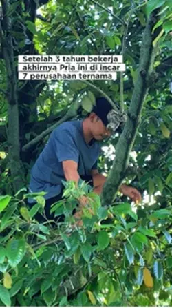 Diincar 7 perusahaan