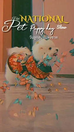 แม่แบบสัตว์เลี้ยง-pet 🐰