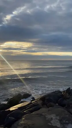 ไลฟ์โฟโต้