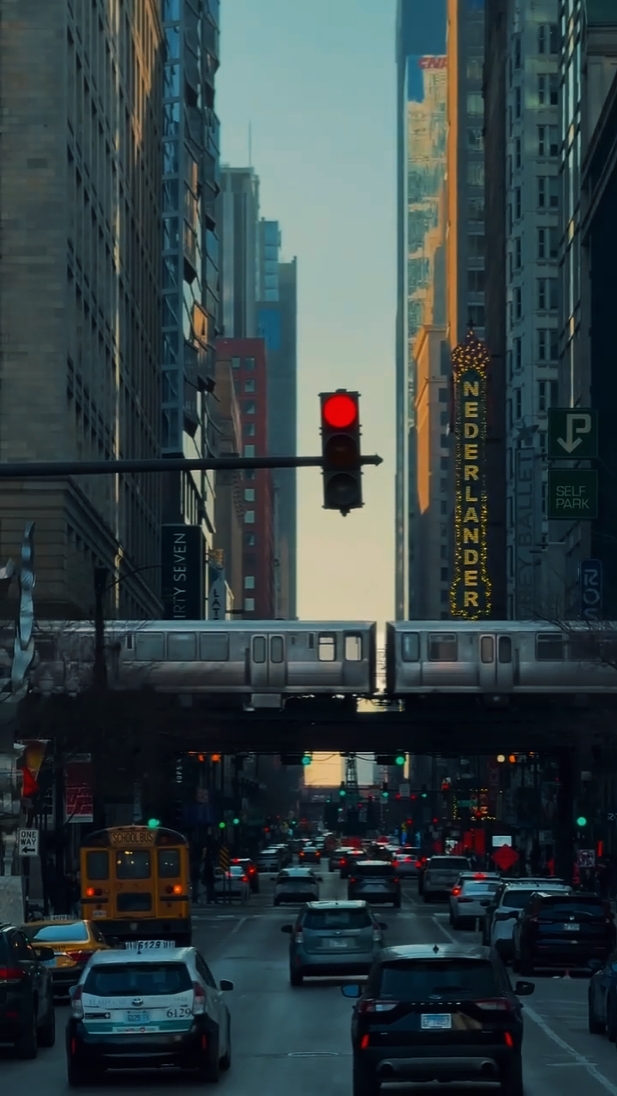 Cinematic Reverse 