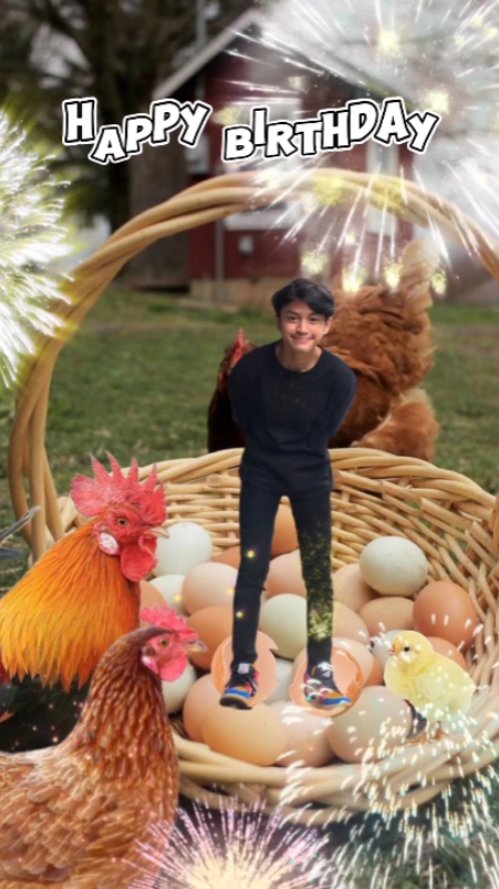 Selamat ulang tahun Ayam