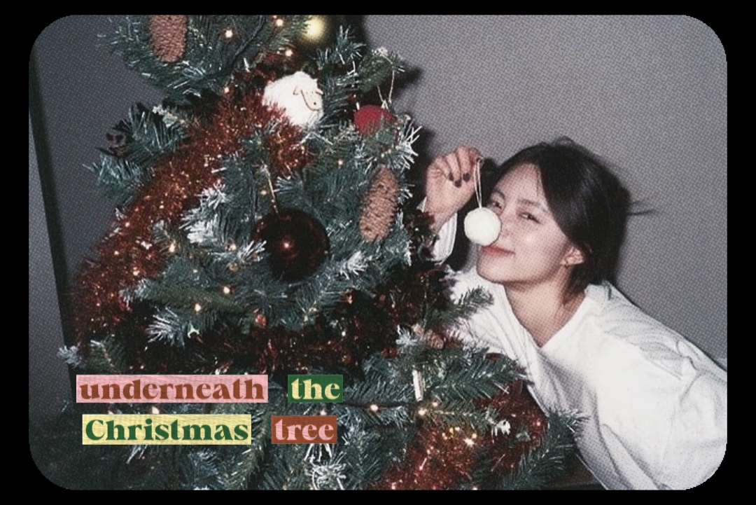 Feliz Navidad 
