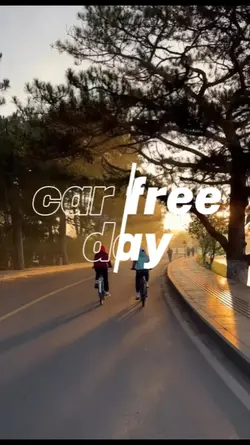 car free day
