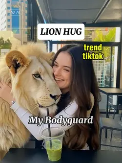 LION HUG