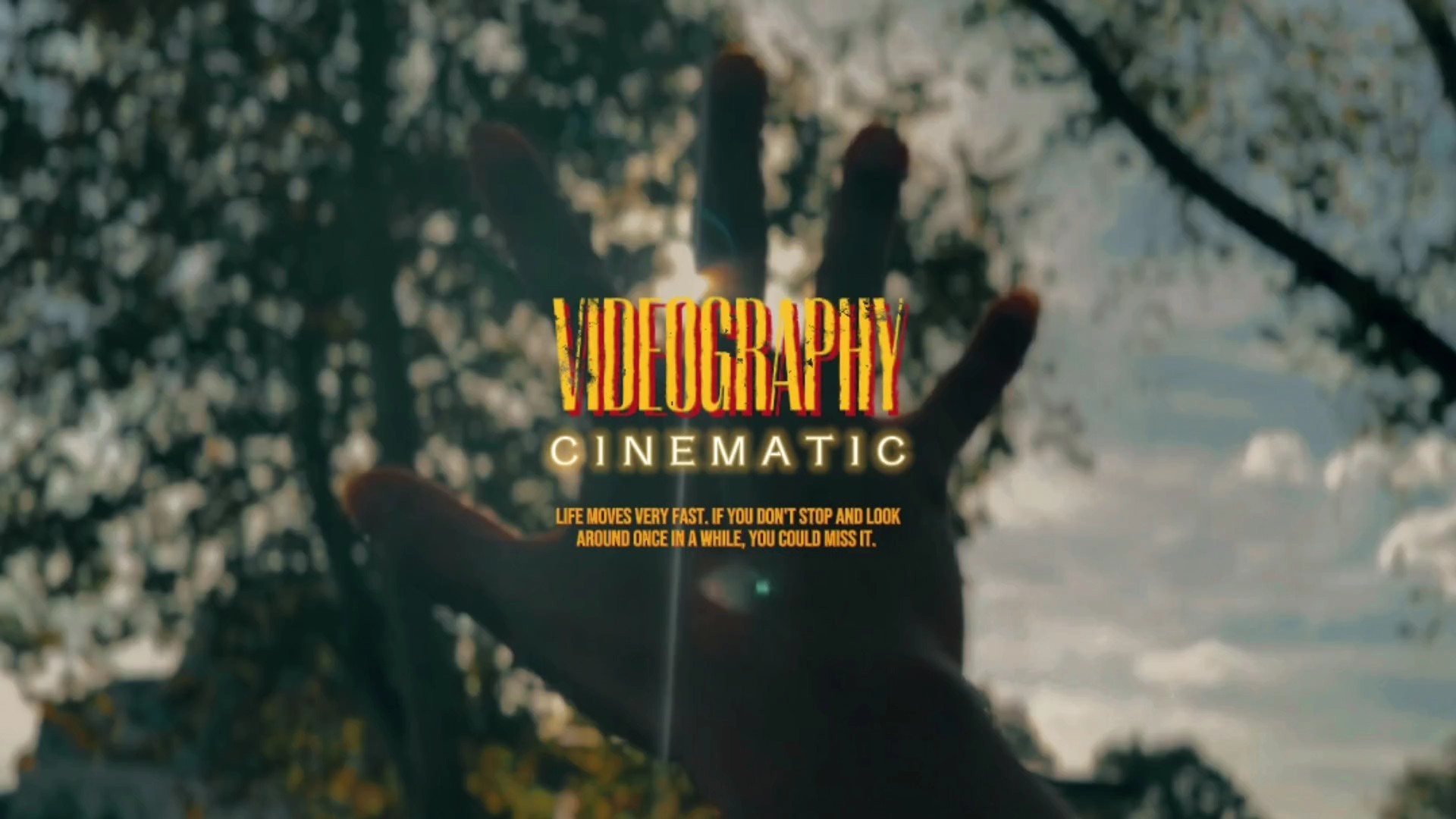 Cinematic videograph