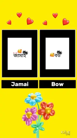 জামাই বউ 