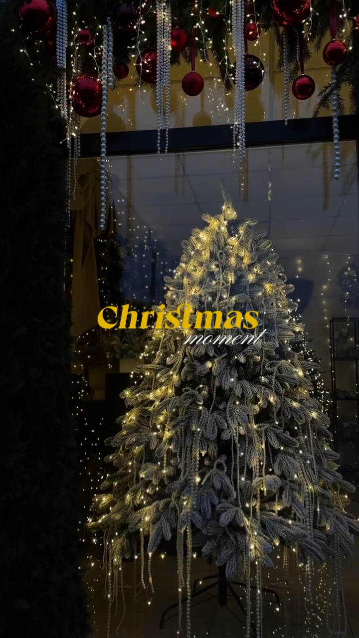 Weihnachts-Moment 