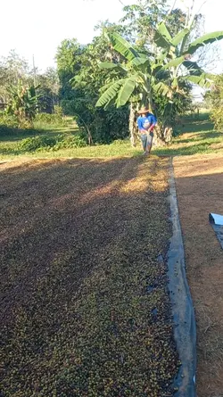 Meu orgulho meu pai